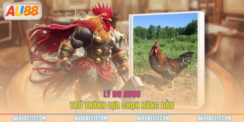 Lý do AU88 trở thành lựa chọn hàng đầu